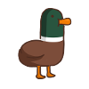 duck