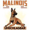 MALINOIS EINFACH UNSCHLAGBAR Belgischer Malinois