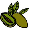 Oliven mediterran