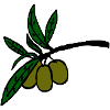 Olive branch