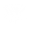 Chef Kitchen Cook