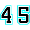 45 number symbol