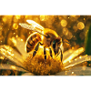 Shiny honey bee in sunlight