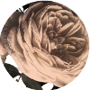 Rosenblüte