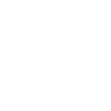 2009