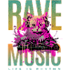 Rave music dj cat