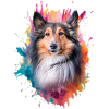Shetland Shepherd Dog