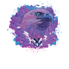 Aigle