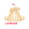 Best Labrador Mom