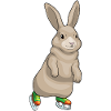 Bunny Ice Skating Ice Skates