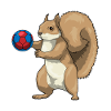 Squirrel Handball Player Handball