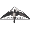 Alpensegler II