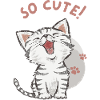 Cat - So cute!