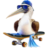 Blue-footed booby skateboard