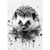 Igel