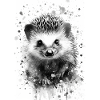 Igel