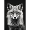 Fuchs