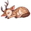 Official Sleep Shirt Hirsch