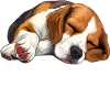 Official Foxhound Sleep Shirt
