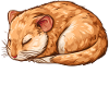 Offizielles Schlafshirt Rennmaus