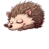 Chemise de nuit officielle Hedgehog