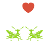 Insecte humour Sauterelle