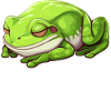 Offizielles Schlafshirt Frosch