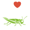 Insecte humour Sauterelle