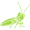 Grasshopper