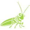 Grasshopper