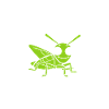 Insecte humour Sauterelle