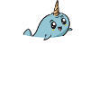 Narwal Einhornwal