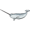 Narwal Einhornwal