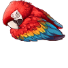 Official Sleep Shirt Macau