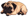 Official Pug Sleep Shirt