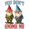 You Don't Gnome Me 12