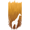 autumn forest