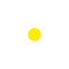 Daisy Gänseblümchen
