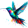Kolibri