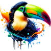 Toucan