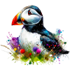 Puffin