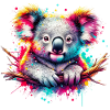Koala