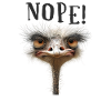 Nope! - Bird ostrich