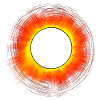 Sonnenfinsternis Total Solar Eclipse