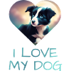 Border Colllie digital Art