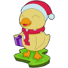 Duck Christmas Package