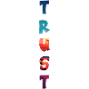 Trust T-Shirt Gift Idea