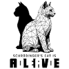 Schrödinger's Cat Dead Alive