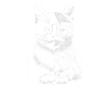 Schrödinger's Cat Dead Alive