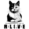 Schrödinger's Cat Dead Alive